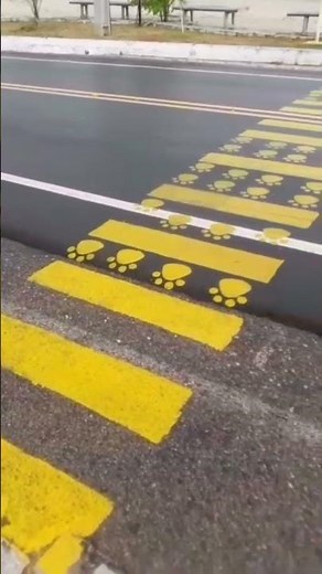 Acari implements exclusive pedestrian crossings for animals and reinforces awareness in traffic
