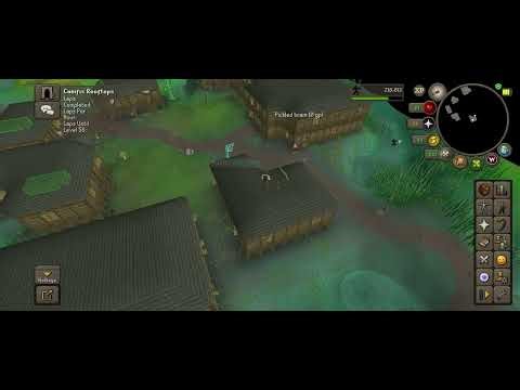 Canifis Rooftop Agility Time