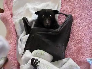 57K views · 4.4K reactions | It's not all sunshine and lollypops in...