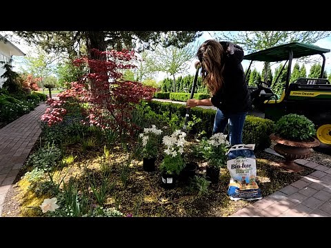 Planting a Random Assortment of Things! 🌿🌿🌿 // Garden Answer