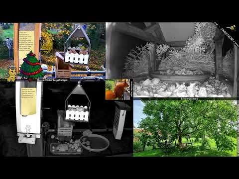 Vogel-Beobachtung/Bird-Watch - Stuttgart (!stg) und Niedersachsen (!nds) - Viel Spaß!