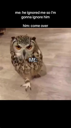 Funny Relationship Memes That Are Totally Relatable