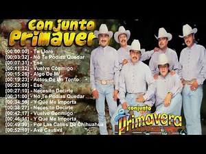 Conjunto Primavera – Álbum de Oro – Los Mejores Éxitos Románticos – Full Album Mix