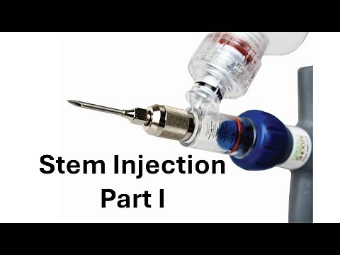 Stem Injection of Invasive Knotweed - Part I of II on Green Shoots Injection System