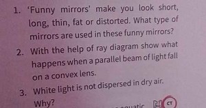 'Funny mirrors' make you look short, long, thin, fat or distort... | Filo
