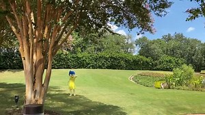 48K views · 1.3K reactions | This Character Experience in Epcot fills us with Joy! https://chipandco.com/this-character-experience-in-epcot-fills-us-with-joy-395087/ | Chip and Company | Facebook