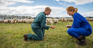 Work-integrated learning