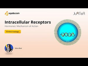 Hormones: Mechanism of Action | Intracellular Receptors