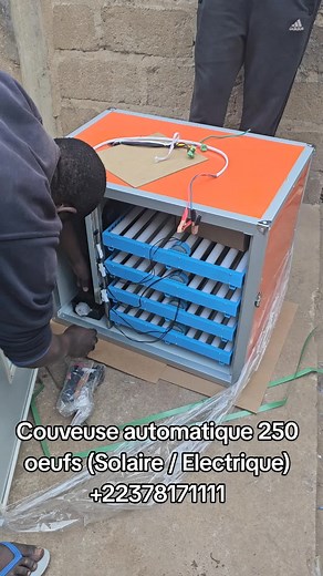 Couveuse Automatique 250 Œufs Solaire/Électrique à Bamako