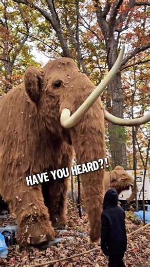 21K views · 716 reactions | Get ready for an EPIC OUTDOOR ADVENTURE...