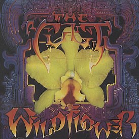 The Cult - Wild Flower