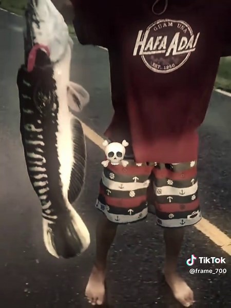 ตกปลาช่อนและชะโด: เทคนิคที่คุณต้องรู้