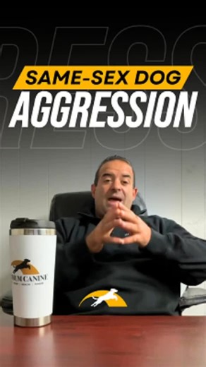 Maximum Canine Dog Training Long Island on Instagram: "🚨Same-sex aggression, or even general dog-on-dog tension, often comes from competition, dominance, or insecurity. Sometimes it’s about leadership, sometimes it’s about management, and sometimes separation is your best friend. You can’t always eliminate it, but with structure, obedience, and the right system, you can create calm coexistence and safety in your home. 💬 Drop your questions below for next week’s Coffee & Canines: Monday Drop —