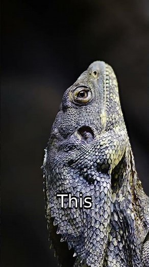 Greptile Intelligent Code Review Automation Leveraging OpenClaw