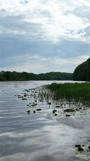 Welcome to the newly-designated Storkriket Biosphere Reserve, 🇸🇪 — landscape where ancient forests and vibrant communities meet. Here, wetlands, deciduous forests, and sandy soils provide vital habitats for many threatened species. The area also encompasses valuable farmland, cultural landscapes, pastures, and ancient deciduous forests that bear witness to the region’s long and rich history. Storkriket was designated during the 37th Session of the MAB Council (26–28 September 2025) in Lin’An D