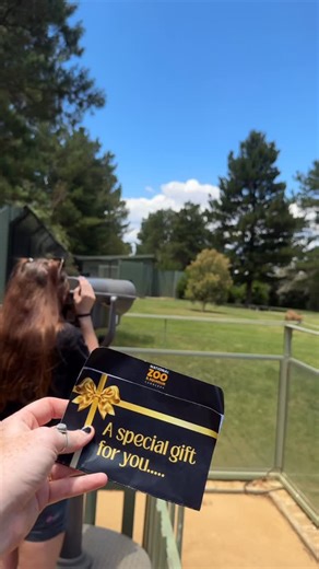 Are you still on the hunt for an un-fur-gettable gift? We’ve got you covered! We’re thrilled to introduce our brand-new National Zoo & Aquarium Gift Cards 💳❤️ Our beautifully designed gift cards make the perfect stocking stuffer for the animal lover in your life 🎁🎄🧦 Choose from a general gift card, redeemable anywhere across the zoo, or a specific animal encounter card for a truly memorable experience. Every purchase delights your loved ones while helping support animal care and conservation