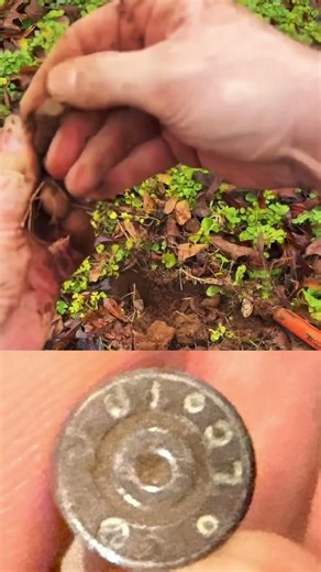 Random shell casing? #metaldetecting #garrettmetaldetectors #historyfacts #archaeology #randomfacts