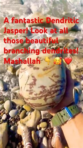 Dendritic Jasper, is prized for its unique pattern that resembles fossilized plants.