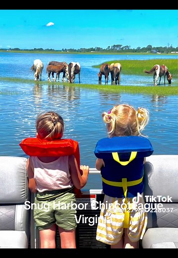 Captain John Chincoteague Va on TikTok