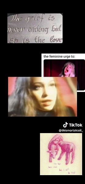 Understanding Emotions: The Journey of a Highly Sensitive Person