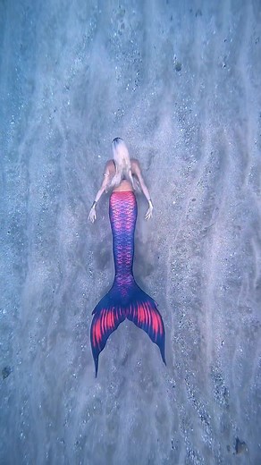Mermaid Aqualina on TikTok