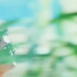 34K views · 3.7K reactions | Tamil Status Song on Reels | Facebook