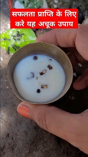 Remedy of black pepper and raw milk to achieve success #ytshorts #viral #shivpuran @bhakti_CLIP92