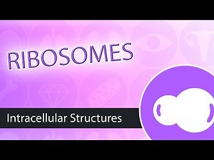 Ribosomes Video Lecture | Biology for ACT