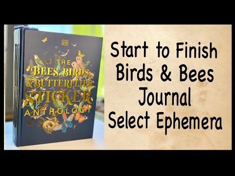 Birds & Bees Journal - Selection of Ephemera - Start to Finish Journal Part 2