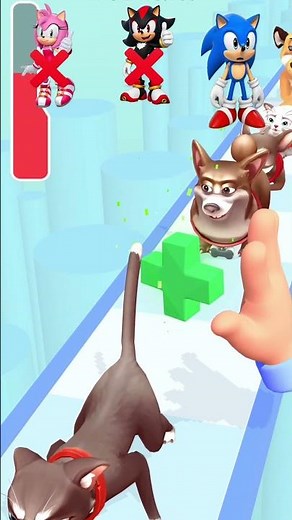 Pet Care Runner | Part 12 | Amy Rose vs Shadow vs Sonic! Who Wins?