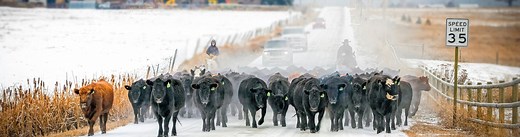 What We Do - Bitter Root Land Trust