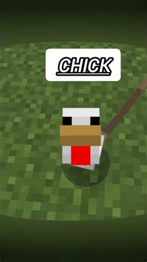 I found the prettiest animals I'm Minecraft #minecraft