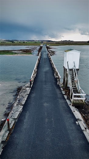 74K views · 1K reactions | Holy Island Causeway - A peaceful moment on the Holy Island Causeway — recorded with care and without disturbing the wildlife | Michael Woodhouse | Facebook