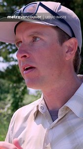 What do swallows swallow? Metro Vancouver is observing tree swallows to guide the design of a replacement wetland area. Tree swallows at settling ponds near the Iona Island Wastewater Treatment Plant are being carefully fitted with transmitters so scientists can track their dining habits. These results also help generate migration data as the swallows may pass the network of receiving stations across North America. | Metro Vancouver