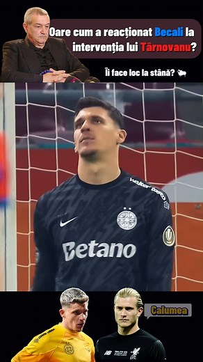 ❌ Le cam gafează pe bandă Fane. Și stim cât de fragilă e răbdarea lui nea Gigi.🐑 Prinde primăvara la FCSB? 🔴🔵 #ROMANIA #fotbal #fotbalromania #FotbalRomanesc #echipanationala #superligaromania #FCSB | Mavrocordat