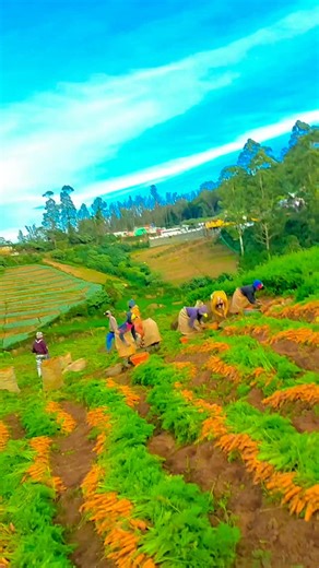 13 reactions | Ãxål Bhåî on Reels | Facebook