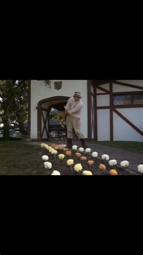 J. Foronda on Instagram: "IMO, another hilarious scene from Caddyshack. I, myself, am not a golfer, but I am pretty sure that golfers have recited BILL MURRAY's improvised “Cinderella story” monologue while practicing his or her golf swing. Caddyshack is a 1980 American sports comedy film directed by Harold Ramis, starring Chevy Chase, Rodney Dangerfield, Ted Knight (his final film role), Michael O'Keefe and Bill Murray. It tells the story of a caddie, vying for a caddie scholarship, who becomes