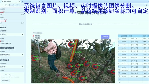 苹果树图像分割系统：模型训练便捷化