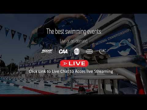2025 AIA Div III Swimming Championship live - Paradise Valley