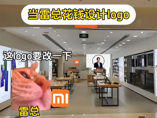 当雷总花钱设计logo