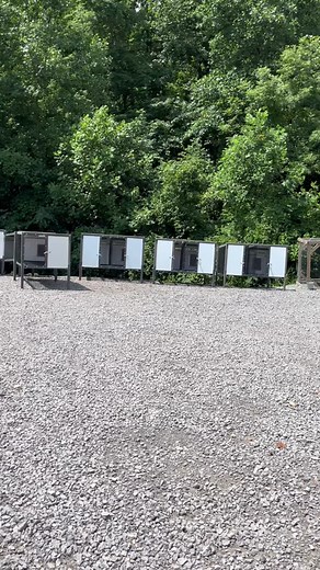 Quality Dog Kennels Back in Stock at Walnut Creek Kennels