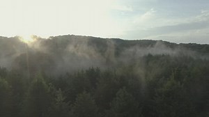 Free Sunrise Videos: 4K & HD | No Watermark | Download Now