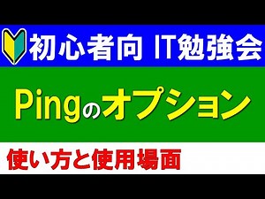 【初心者向けIT勉強会】PINGのオプションの使い方と使用場面