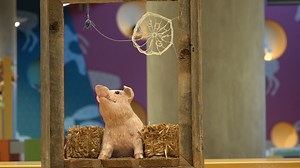 Tom Green County Library prepares to kick off its summer reading program