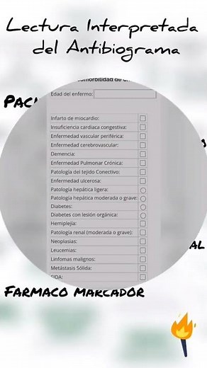 Lectura Interpretada del Antibiograma #5 pasos esenciales que debes conocer ⚡