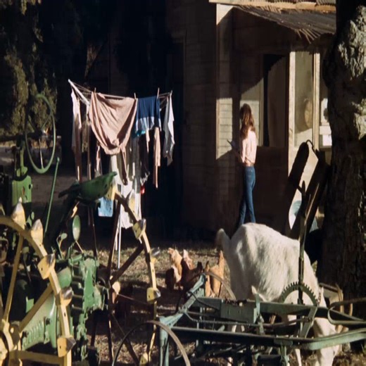 The Dukes of Hazzard S02E17 – Officer Daisy Duke #P4 #dukesofhazzard #hazzardcounty #generallee #hazzard #daisyduke | Back To 80s