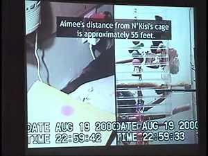 Amazing Scientific experiment footage of a talking Psychic parrot