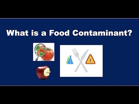 What is a Food Contaminant?
