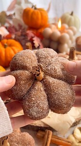 MOST VIRAL RECIPE EVER! With over 80 million combined views- You’ve gotta make my vegan pumpkin spice doughnuts! 🎃🍁RECIPE IN COMMENTS⬇️⬇️⬇️⬇️ #doughnuts #pumpkin #easyrecipes #reels #doughnuts #donut #pumpkinspice #pumpkins #fallvibes #cozyvibes #veganrecipes #vegan #baking #YUM | The little Blog of Vegan