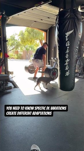 Different deadlift variations create different adaptations